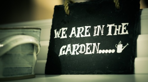 (swimmingpoolguru.eu) we-are-in-the-garden